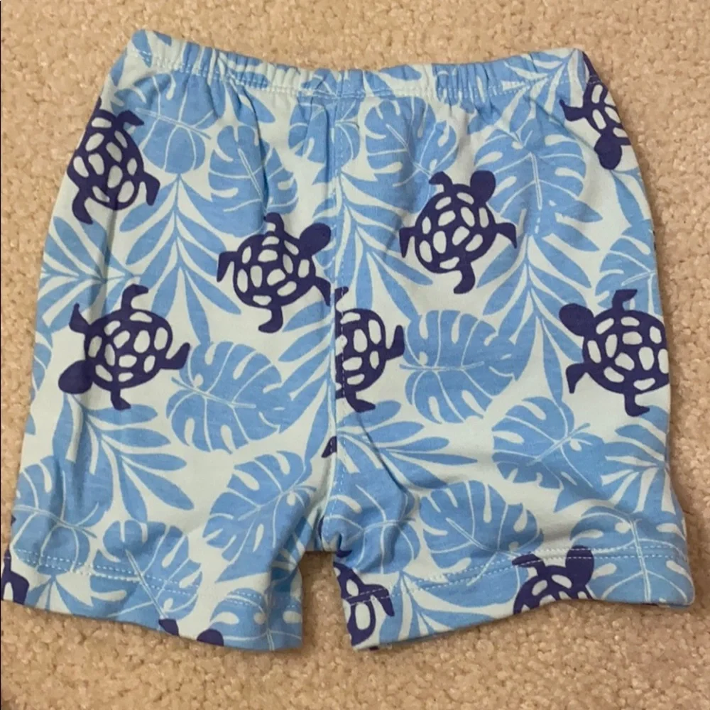 GAP blue turtle